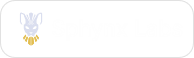 sphynx_labs